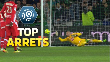 Top arrêts de la 19ème journée - Ligue 1 / 2014-15