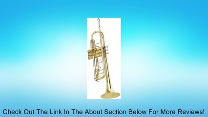 Antigua Winds X/P TR1502LQ Bb Trumpet Review