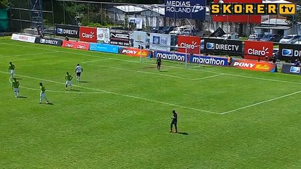 Il arrêt le ballon sur la ligne de but avant de marqué (la honte).