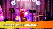 Kimi Ga Suki (OPTIMAL)- Bich Thuy cover