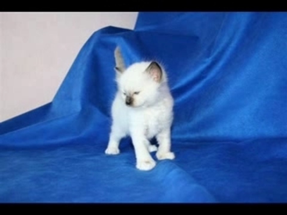 Bilbo