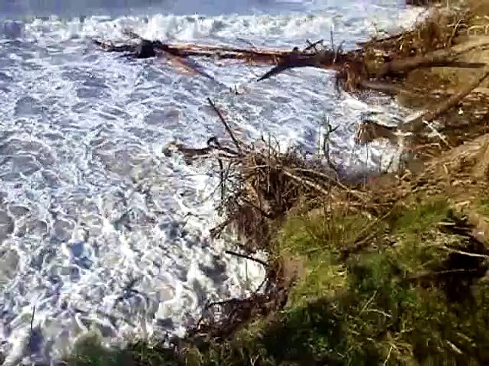 BAIE D'AUTHIE NORD Janvier 2014 la brèche du bois de sapins s'agrandit inexorablement