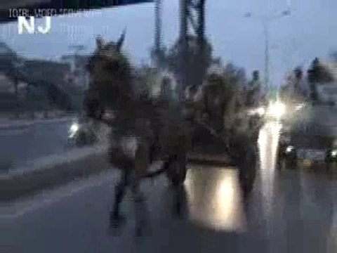 horse race moj e bahar vs miscall winner moj e bahar(owner shah nawaz rawalpindi)