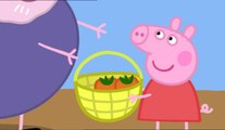 Peppa Pig italiano Nuovi Episodi 2016 Stagione 1 Episodio 15 - Pic Nic