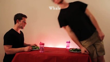 Style Of Eating Different Animals