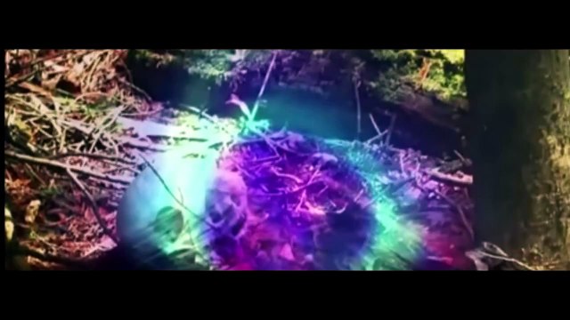 Лес Аокихара, остров Хонсю, Япония