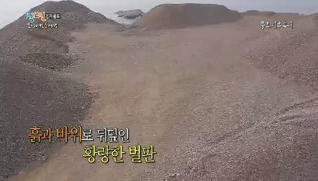 ­­강­원­랜­드­블­랙­잭­▶Ｒ­Ａ­Ｔ­１００,ＣＯＴ ◀­강­원­랜­드­블­랙­잭­*＊＆■