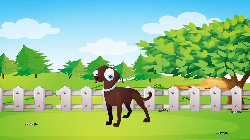 Hayvanlar Ne Ister Sarkisi Afacantv Video Dailymotion