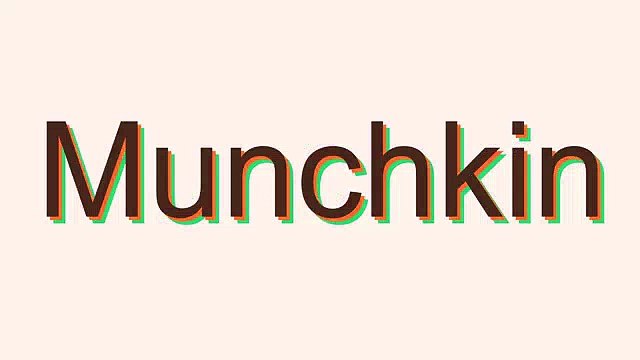 Munchkin Meaning in Hindi/Munchkin का अर्थ या मतलब क्या होता है 