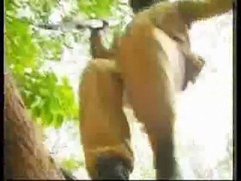 Qasam Us Waqt Ki - upload by by Adv. Hidayat khan Salarzai. Timergara Khazana, pakistan