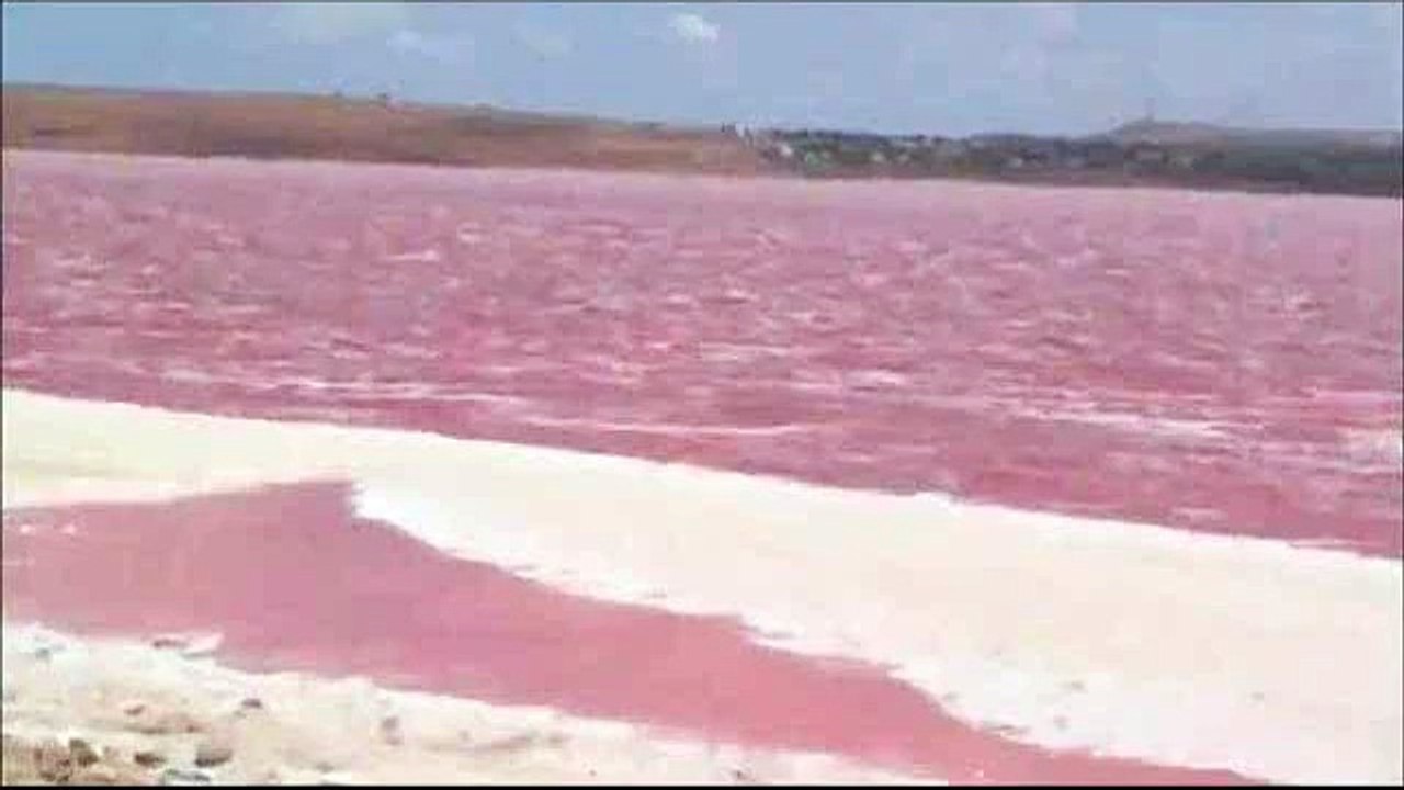 L11 - Le lac rose