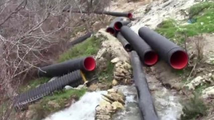 Avatar' Filmi Gerçek Oldu