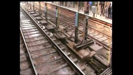 Macaco herói salva amigo na linha do trem