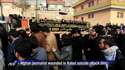 Download Video: Afghan journalist wounded in French centre attack dies