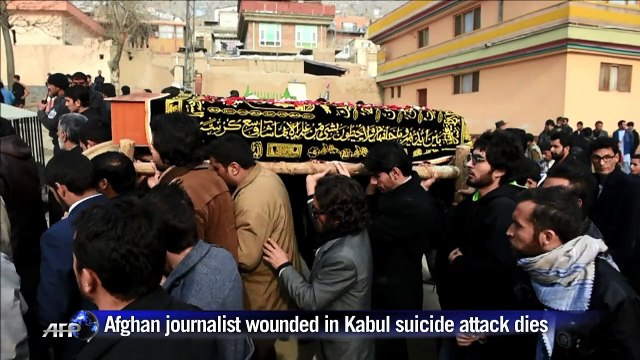 Afghan journalist wounded in French centre attack dies