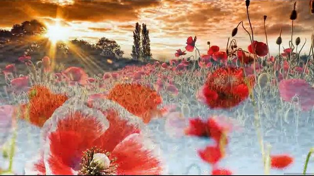 Si tu me dices ven - Mari Trini