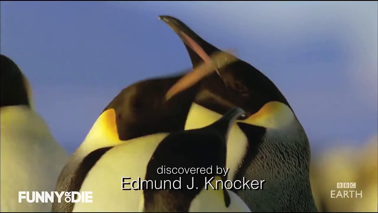 Planet Earth with Boobs