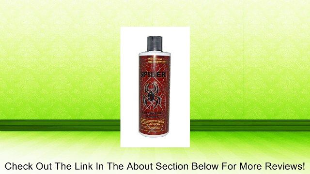 Glare 37411-glr-003 GLARE Spider - 12 oz. Bottle Review