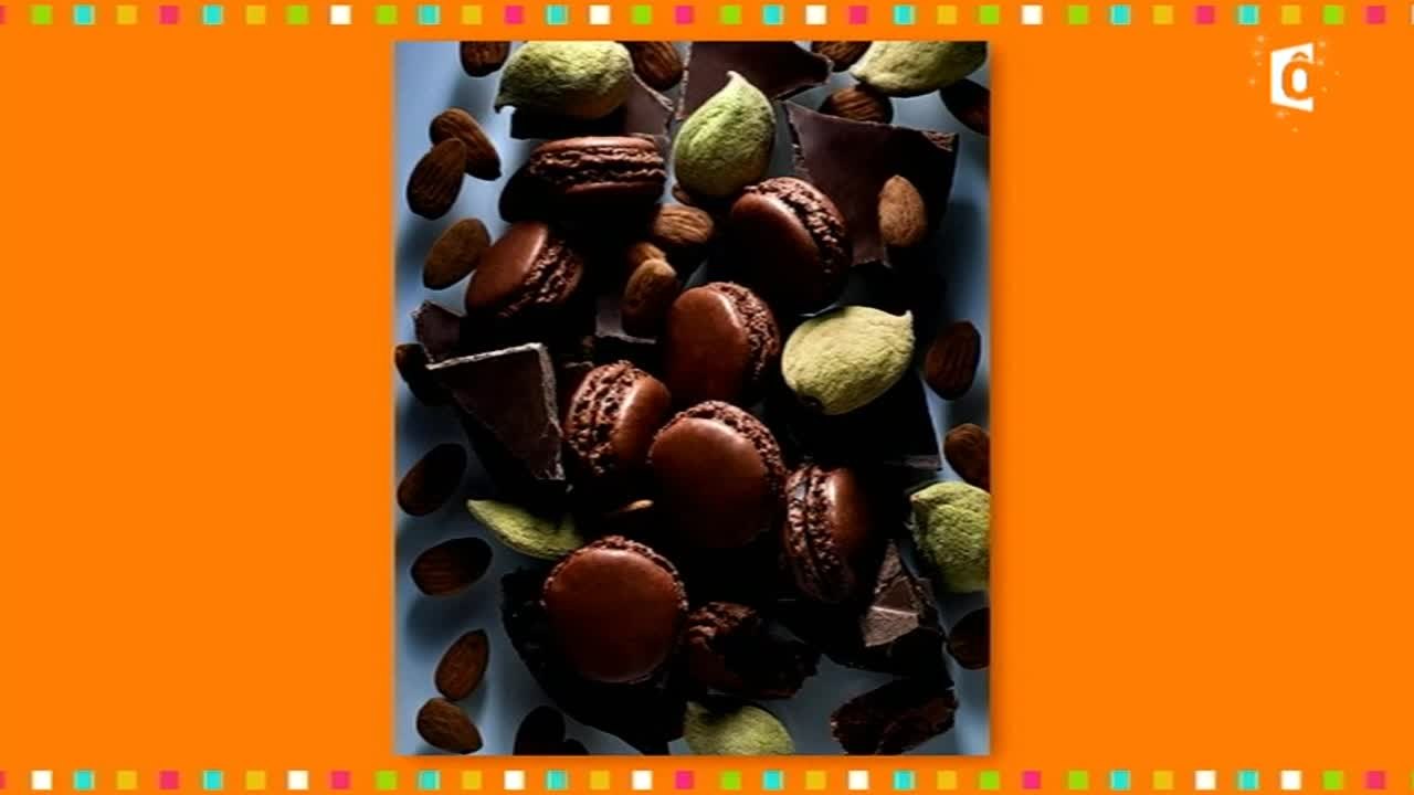 Le livre des macarons par Pierre Hermé