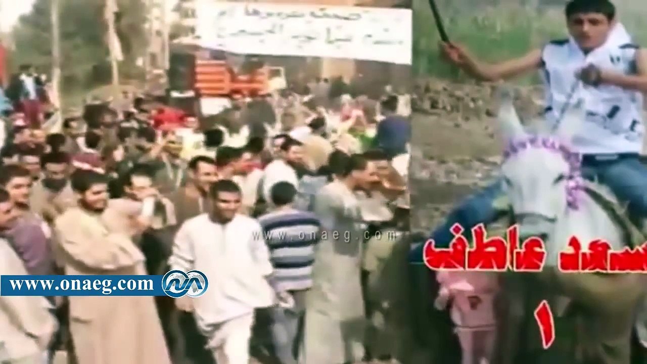 شاهد كواليس ماراثون الحمير «السباق الثاني» بأسيوط