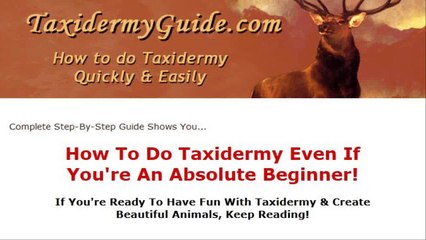 Taxidermy Made Easy Covers A Range of Different Animals