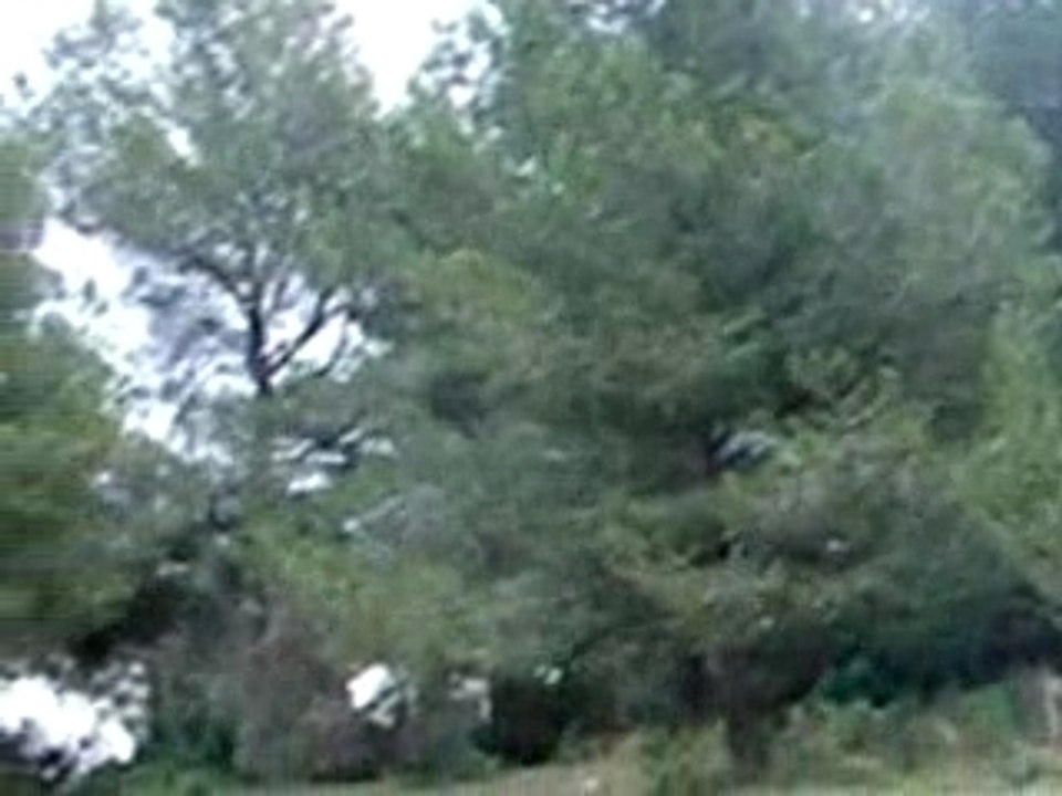 sesson de fred