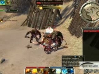 Guild wars farm G/M Bief Elona