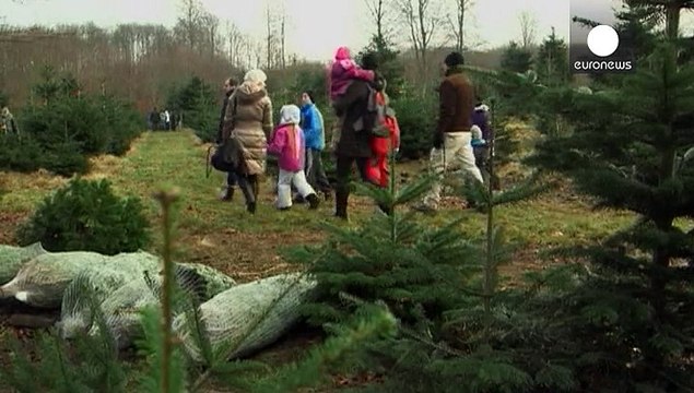 شجرة الميلاد...رمز الإحتفال بعيد ميلاد المسيح