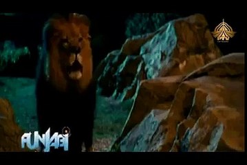 شیر دی بے عزتی وہ بھی پی ٹی وی پر