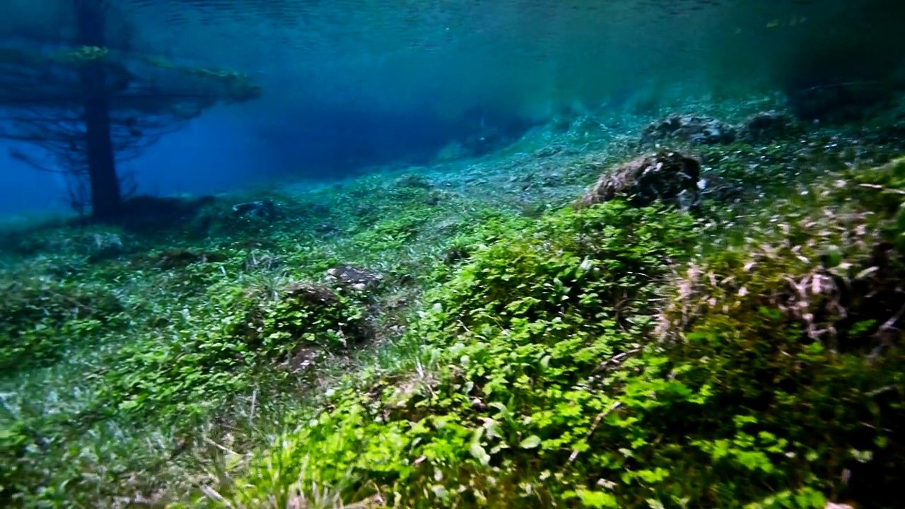 Lac vert (Gruner See)