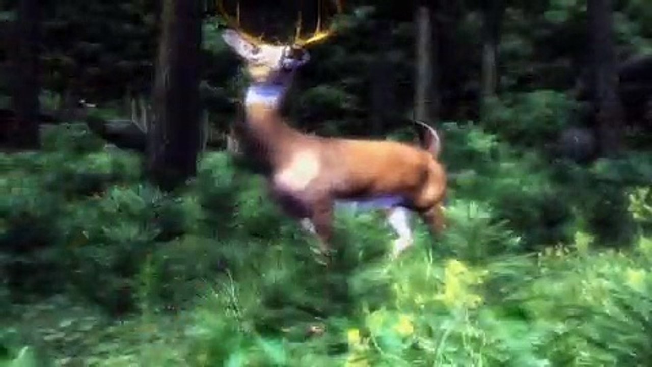 The Elder Scrolls IV Oblivion – PC [Downloaden .torrent]