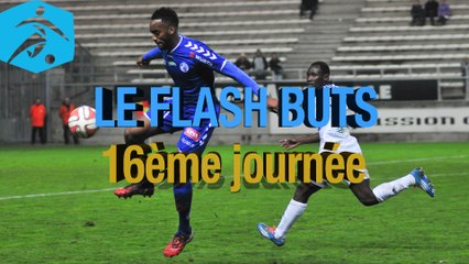 Championnat National 2014-2015 - 16ème journée - Les buts