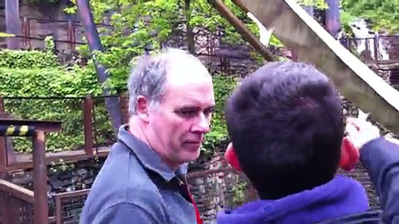 Alton Towers Nemesis