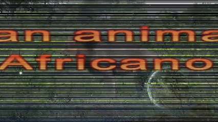 عندما تجتمع الاسود لقتل عدوها اللدود   (( الضبع ))