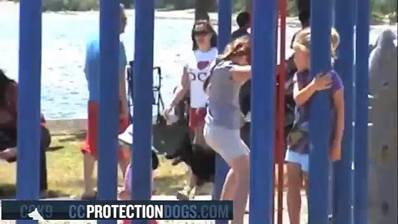 Children and Protection Dogs| ccprotectiondogs.com