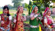 Rajasthani New HOLI Song | 