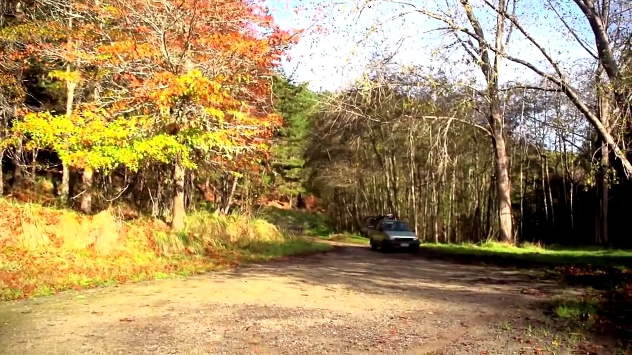 DOWNHILL IS AWESOME 2014