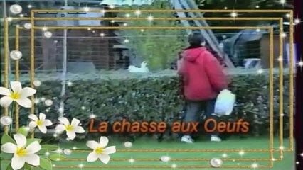 Chasse aux oeufs