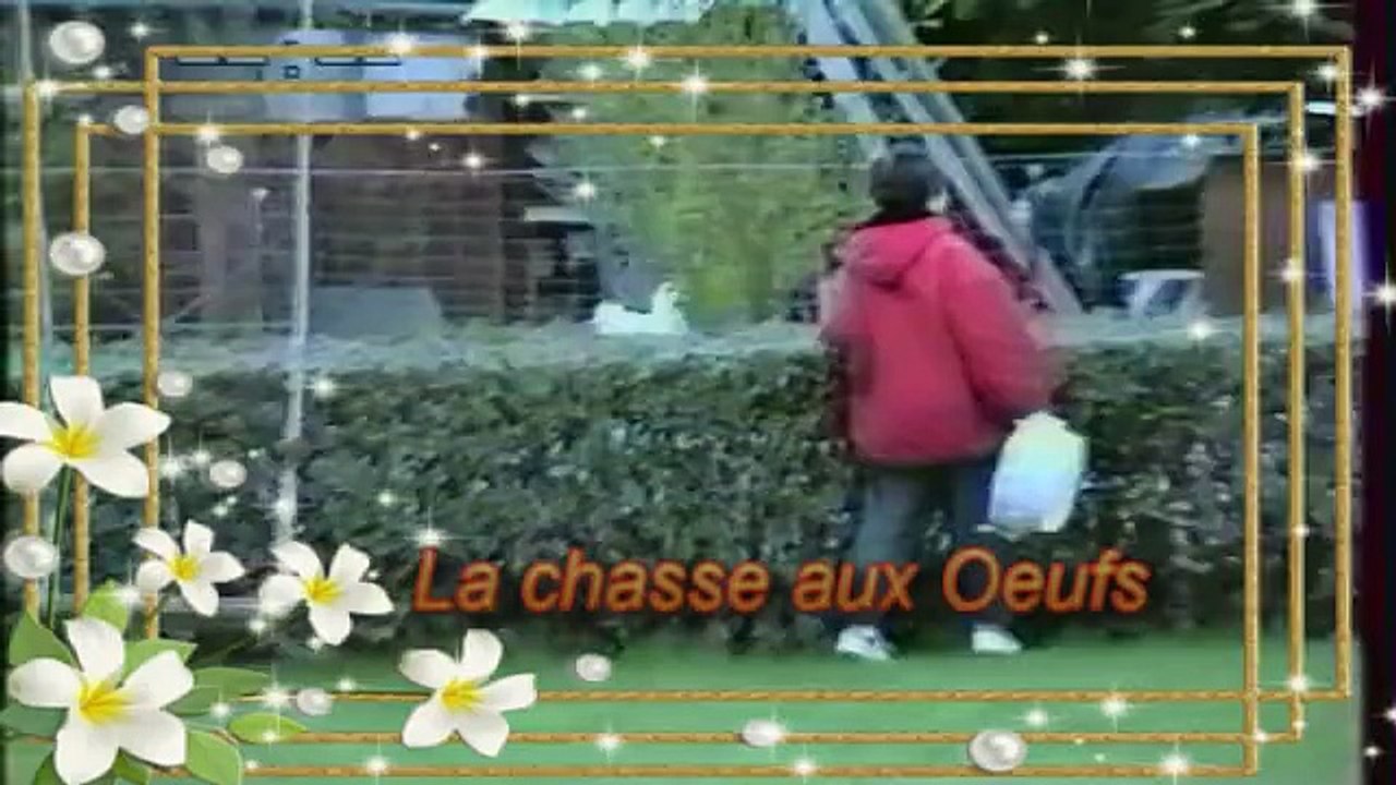 Chasse aux oeufs