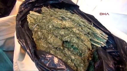 Şanlıurfa Kamyon Kasasından 228 Kilo Çıktı