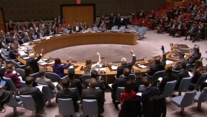 U.N. council overrides China to add North Korea to agenda