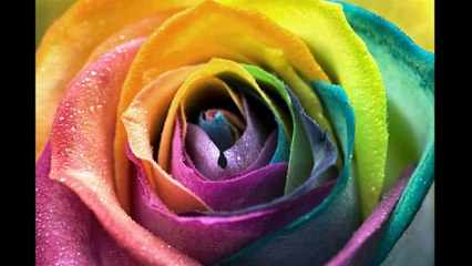 Beautiful Sad Poem by Hamza Hashmi