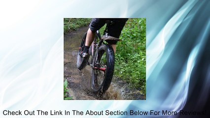 Portland Design Works Dave's Mud Shovel Fender (Rear) Review