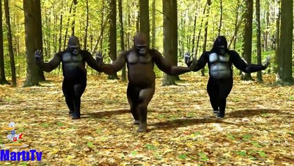 Yorganda Kene Var-Roman Havası (HD)İzle