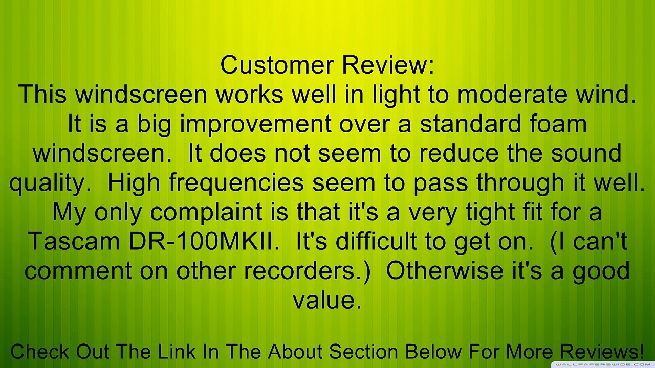 Mic-Muff Fitted Fur Windscreen for Alesis Pro-Track Sony PCM-D1, D-50 Tascam DR-100, DR-2D, GT-R1 Zoom H2, Zoom H2N, Zoom H4, Zoom H4N Review