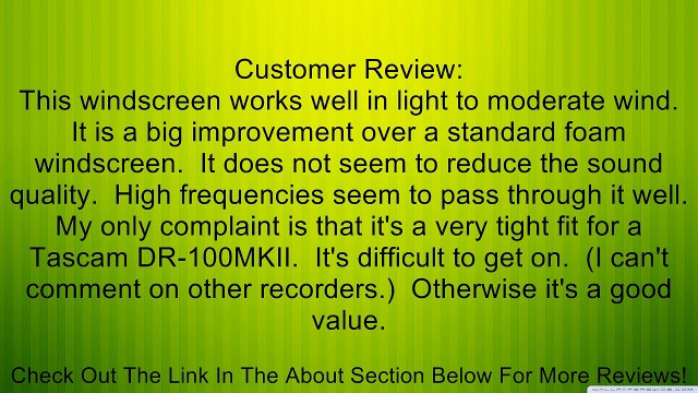 Mic-Muff Fitted Fur Windscreen for Alesis Pro-Track Sony PCM-D1, D-50 Tascam DR-100, DR-2D, GT-R1 Zoom H2, Zoom H2N, Zoom H4, Zoom H4N Review