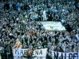 GATE 4 PAOK ( 2 )