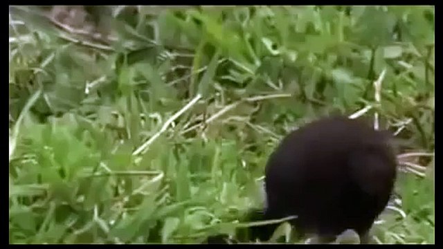 National Geographic - Bermuda Triangle Mystery - Secret Revealed - Full HD [Documentary]