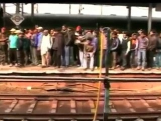 Un mono salva la vida de otro mono electrocutado entre las vías del tren en la India