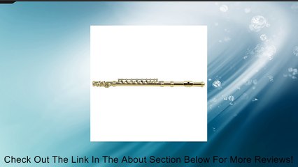 Lyra Toy Instrument Model Mini Size Silver Flute Review